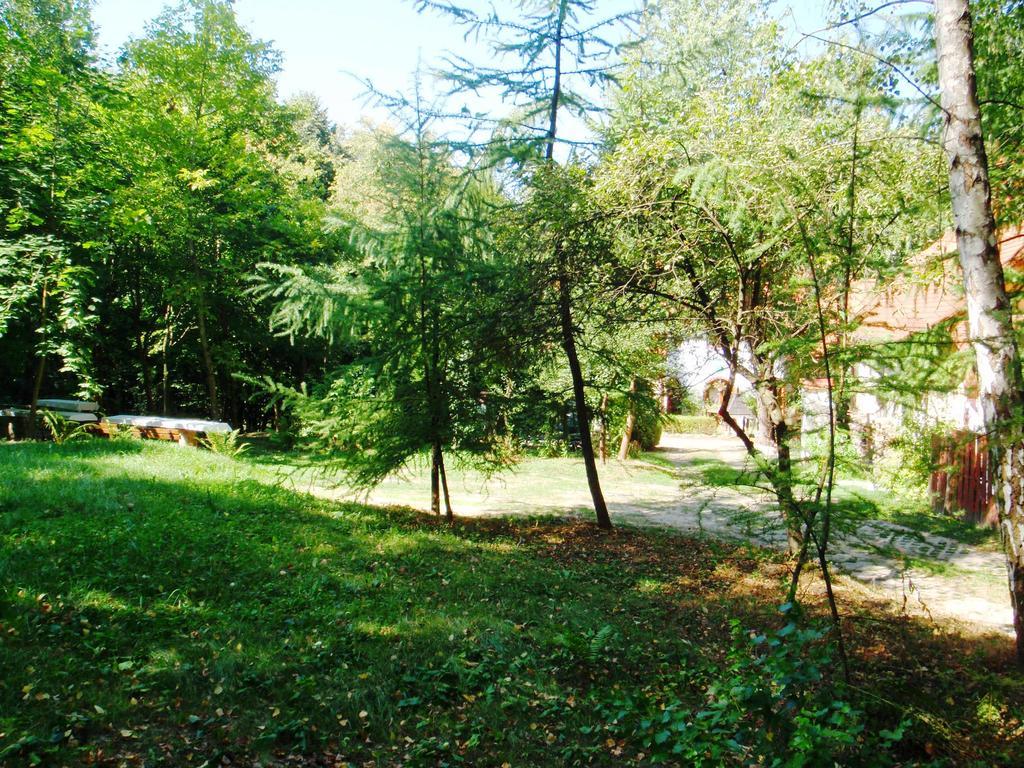 הוילה קז'ימייז' דולני Osrodek Kwaskowa מראה חיצוני תמונה